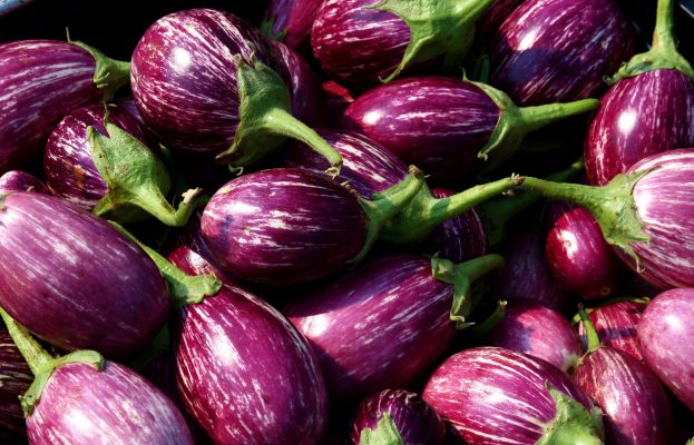 Eggplant