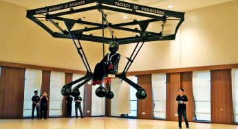 Do You Want To Fly Like A Bird? This Gadget Will Help You Do That