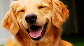 These 10 Words Can Make Your Social Media Status Funny And Humorous