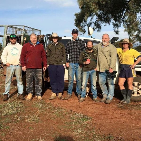 Story Behind The Video Of A Man Punching Kangaroo