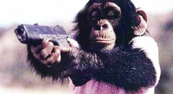 15 Animals And Their Human-Like Expressions Will Make You Laugh In Tears!