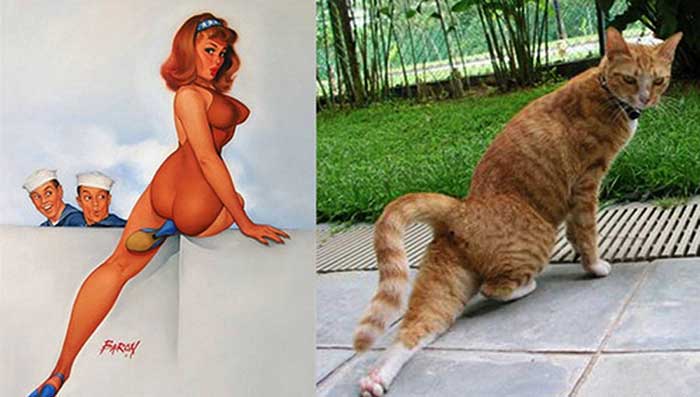 cats posed as girls