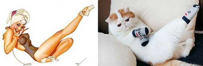 cats posed as girls