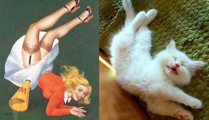 cats posed as girls
