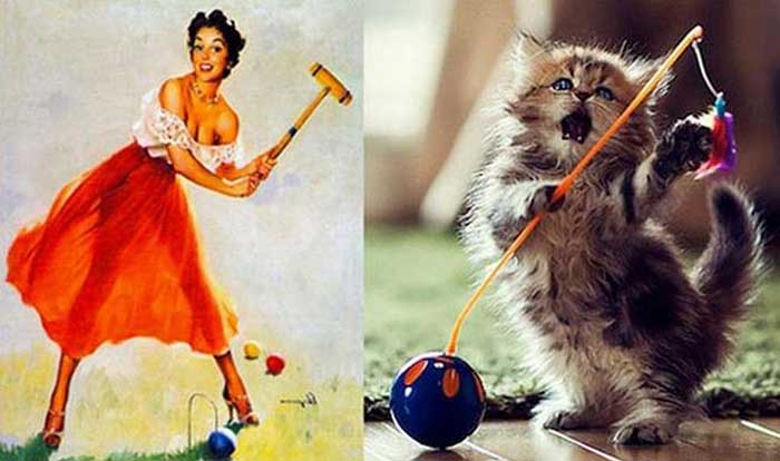 cats posed as girls