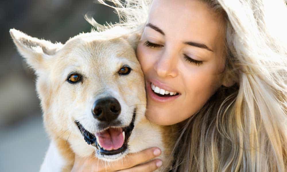 Dog Lovers - Things Only Dog Lovers Can Relate To - Dogs Best Buddy