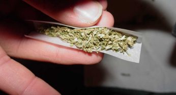 This Guy’s Profession Is Rolling Joints. Imagine How Much He Earns?