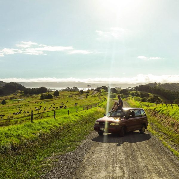 Beauty Of New Zealand