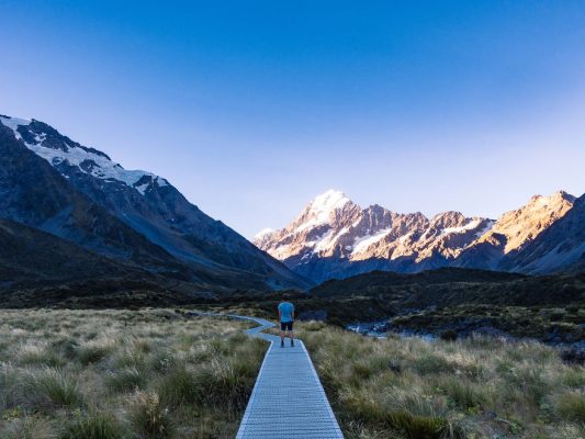 Beauty Of New Zealand