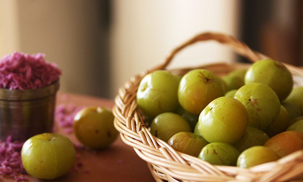 health benefits of Amla