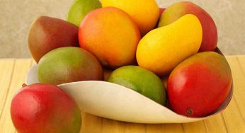 Have You Tasted These 10 Types Of Yummy Tummy Mangoes Well They Are To Die For!