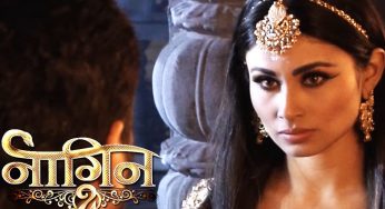 Nagin 3 Will Start After Diwali – Will Mouni Roy Be Replaced?