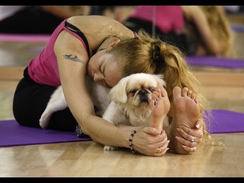 Weird Yoga Trends