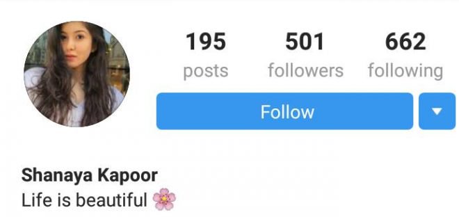 Instagram Bios Of Star-Kids