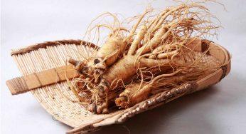 4 Herbs That Can Protect You From Anxiety, Depression, Alzheimer’s, etc!