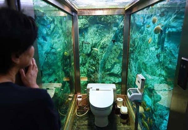 bizarre washrooms