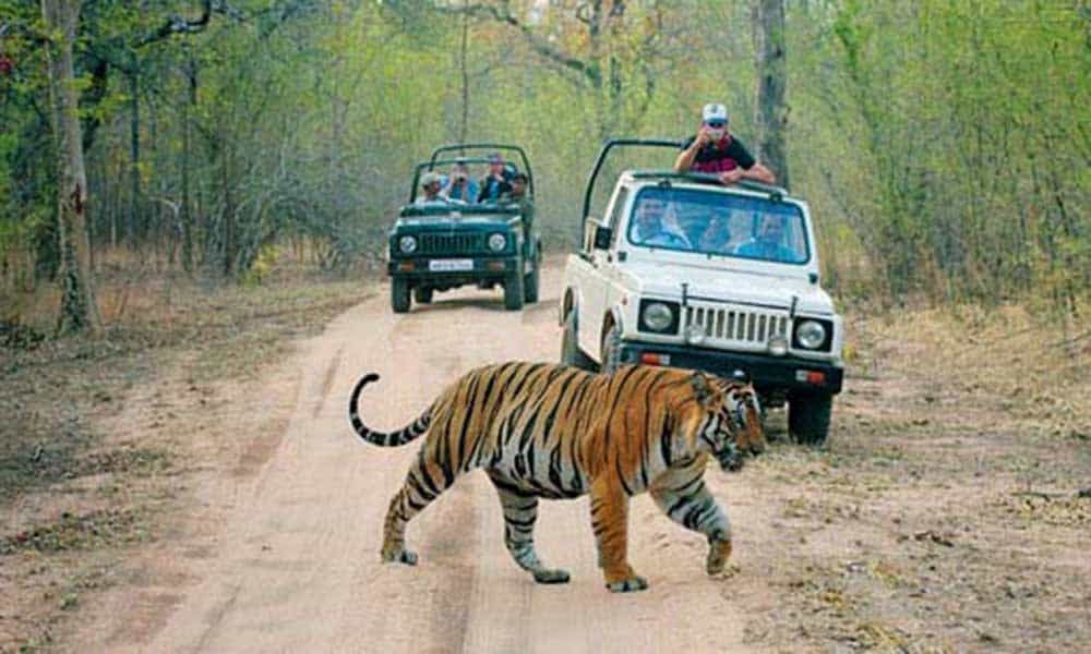 Wild life sanctuaries of India