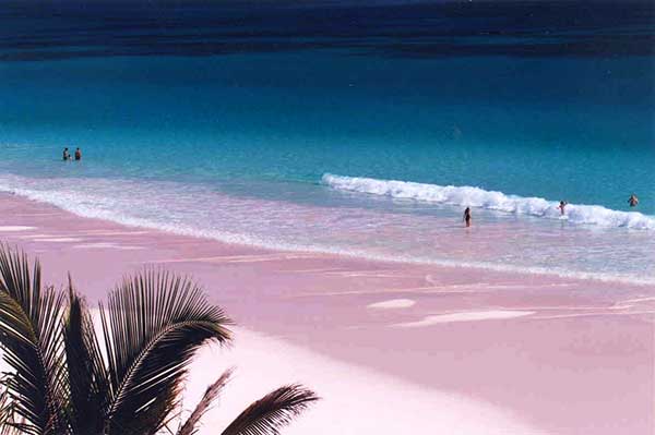 Pink Beaches