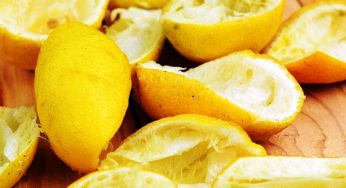 Here’s Why You Should Use Lemon Peel Instead Of Throwing Away