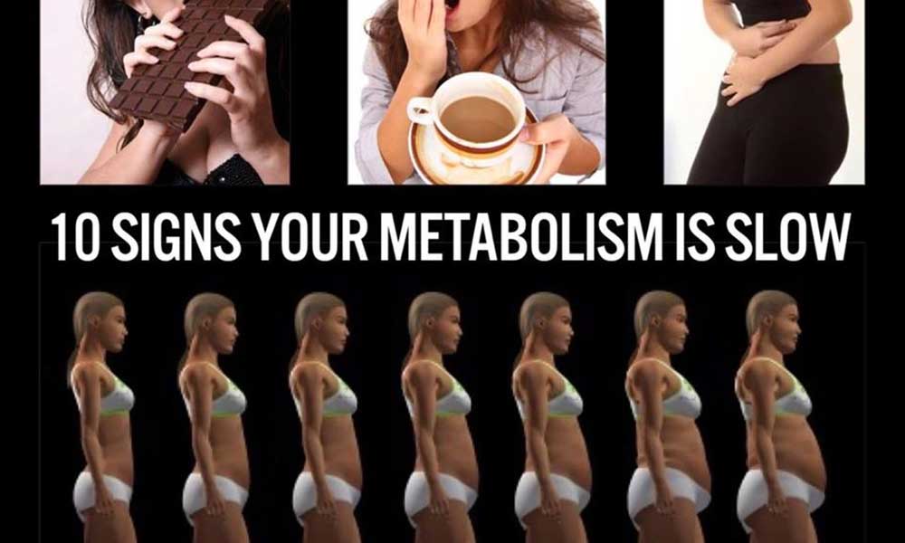 Slower Metabolism Rates And Hence You Are Putting Weight