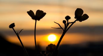 10 Things You Should Do If Tomorrow Never Comes