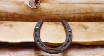 11 Reasons to Hang Horseshoe alias Ghode Ki Naal at Home