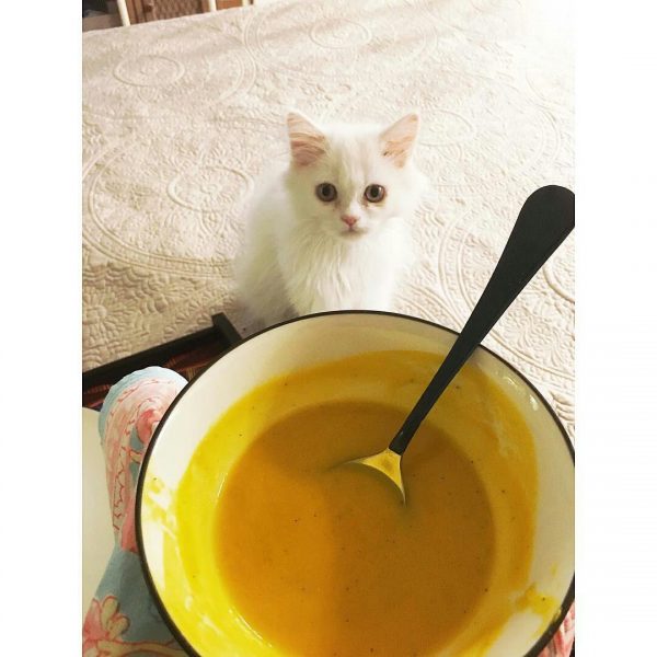 Alia Bhatt With Her Cat