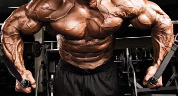 Which Exercise Builds More Muscle? Dumbbell Flyes or Cable Flyes?