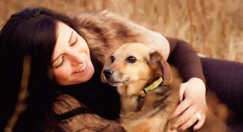 9 Hilarious Reasons Why You Would Rather Want to Be a Pet Parent Than a Human One