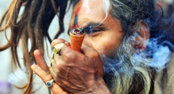 Shocking Mumbai And Delhi Youth Are Consuming The Highest Amount Of Marijuana!