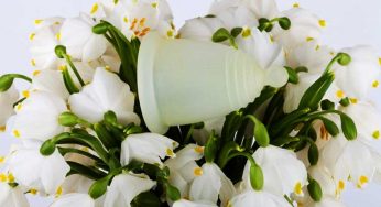 Alternatives Of Sanitary Napkins