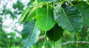 These Are the Indian Superstitious Beliefs and Scientific Reasons Behind Them