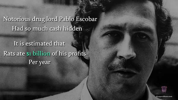 Drug Mafia - Lesser Known Facts About Drug Mafia: Pablo Escobar