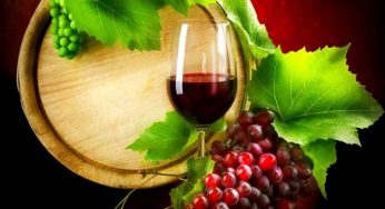 Alcoholic Drinks That Are Good For Your Health