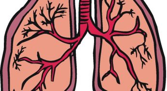 This is A Hilarious Conversation Between A Smoker and His Lungs