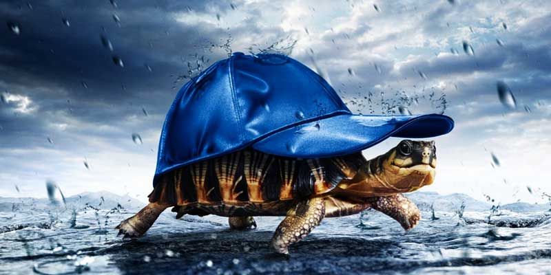 Funny monsoon photos