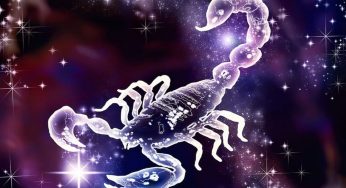 These Are The Funny Memes About Scorpio In Their Default State