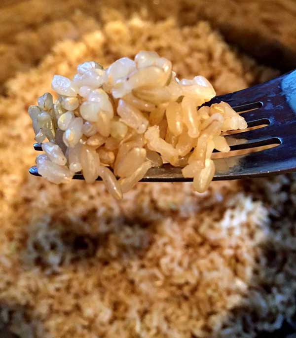 brown rice