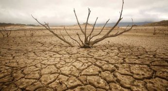 India Will Face Major Drought This Year, Says UN