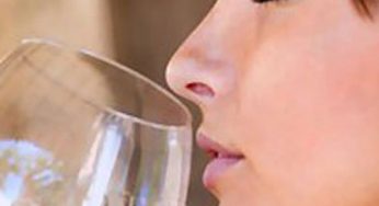 Career As A Wine Sommelier: Serving Right Flavor And Taste To Right Person