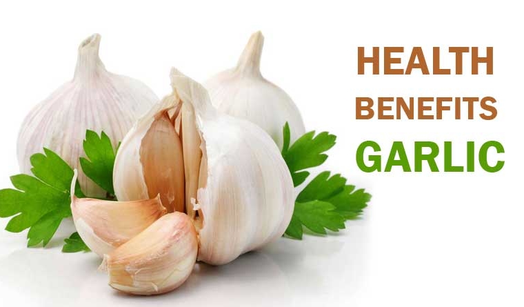 Garlic