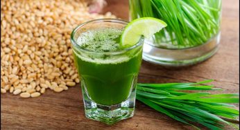 Try Wheatgrass Juice Instead Of Tequila Shot