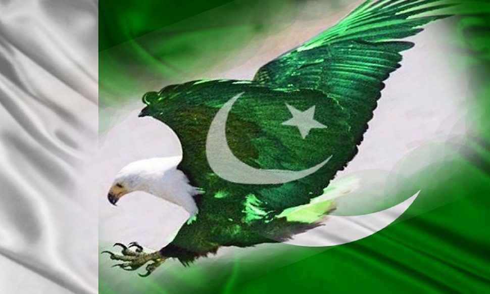 Pakistani rickshaw puller