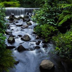 Munnar hill station