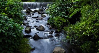 Pictures That Prove Munnar is Every Photographer’s Muse