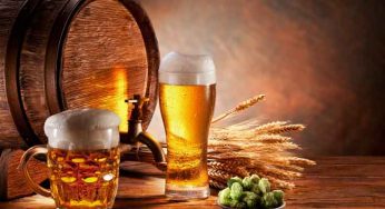 These 5 Reasons Will Tempt You To Drink More Beer