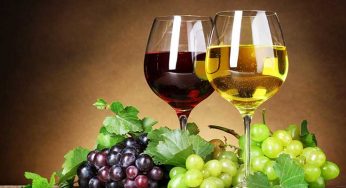 5 Healthy Reasons Associated With A Glass Of Wine That Will Spur You On!