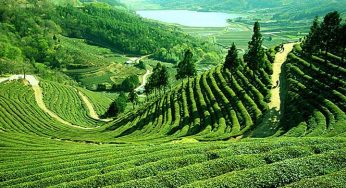 Backpacking In India, Let’s Go Someplace Beautiful!