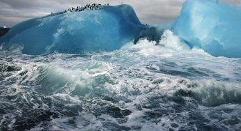 99% Water Of Earth Is In Greenland & Antarctica