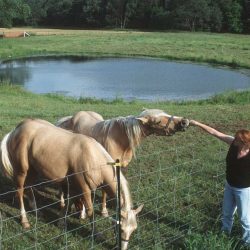 Jobs if you love animals